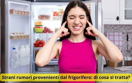 Strani rumori provenienti dal frigo