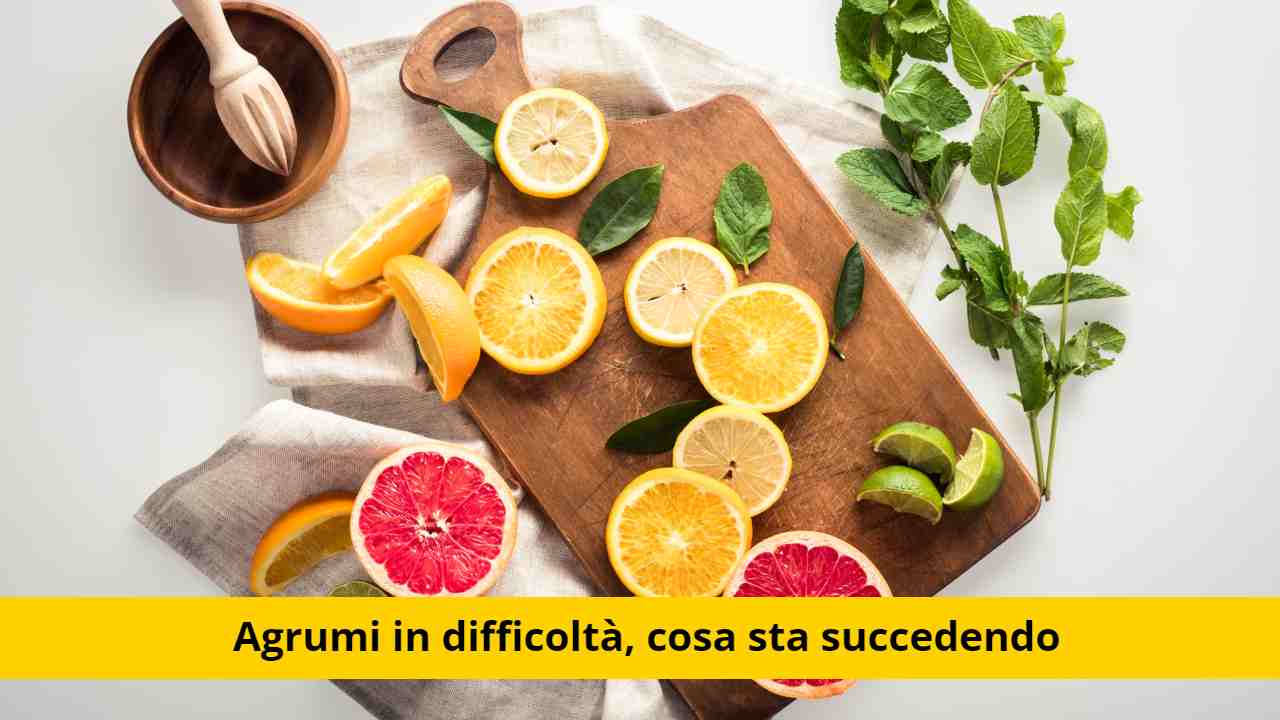 agrumi a rischio