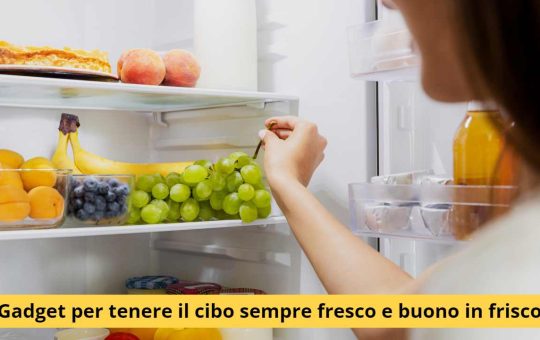 frigo alimenti