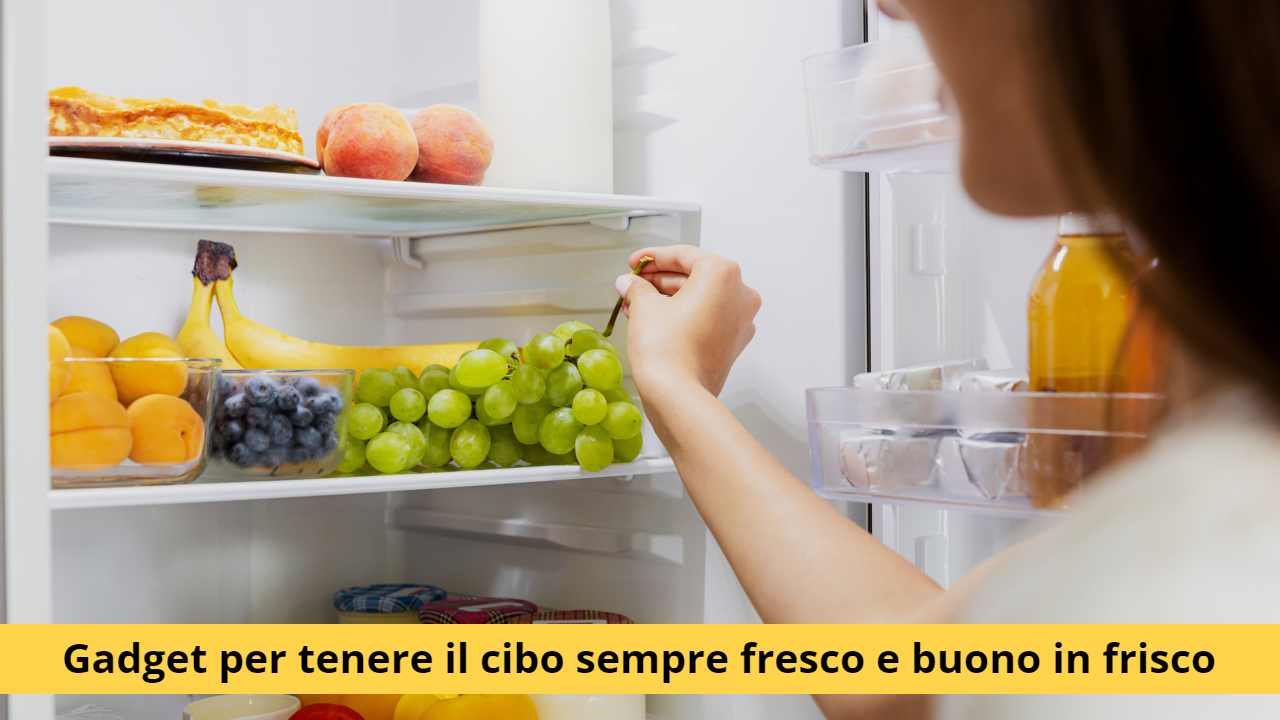 frigo alimenti