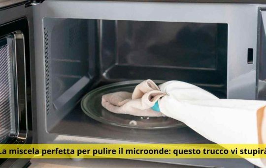 microonde come pulirlo