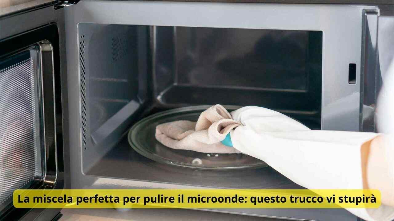 microonde come pulirlo