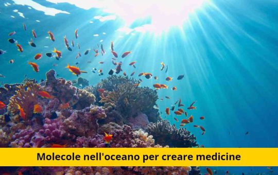 molecole oceano