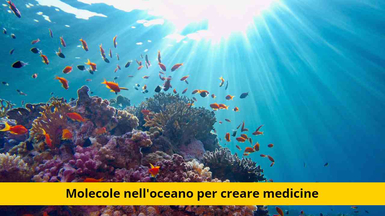 molecole oceano