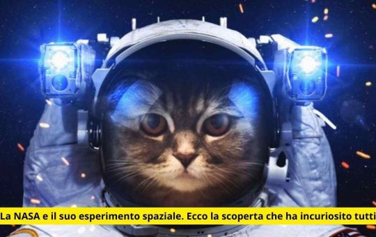 La NASA e il suo esperimento