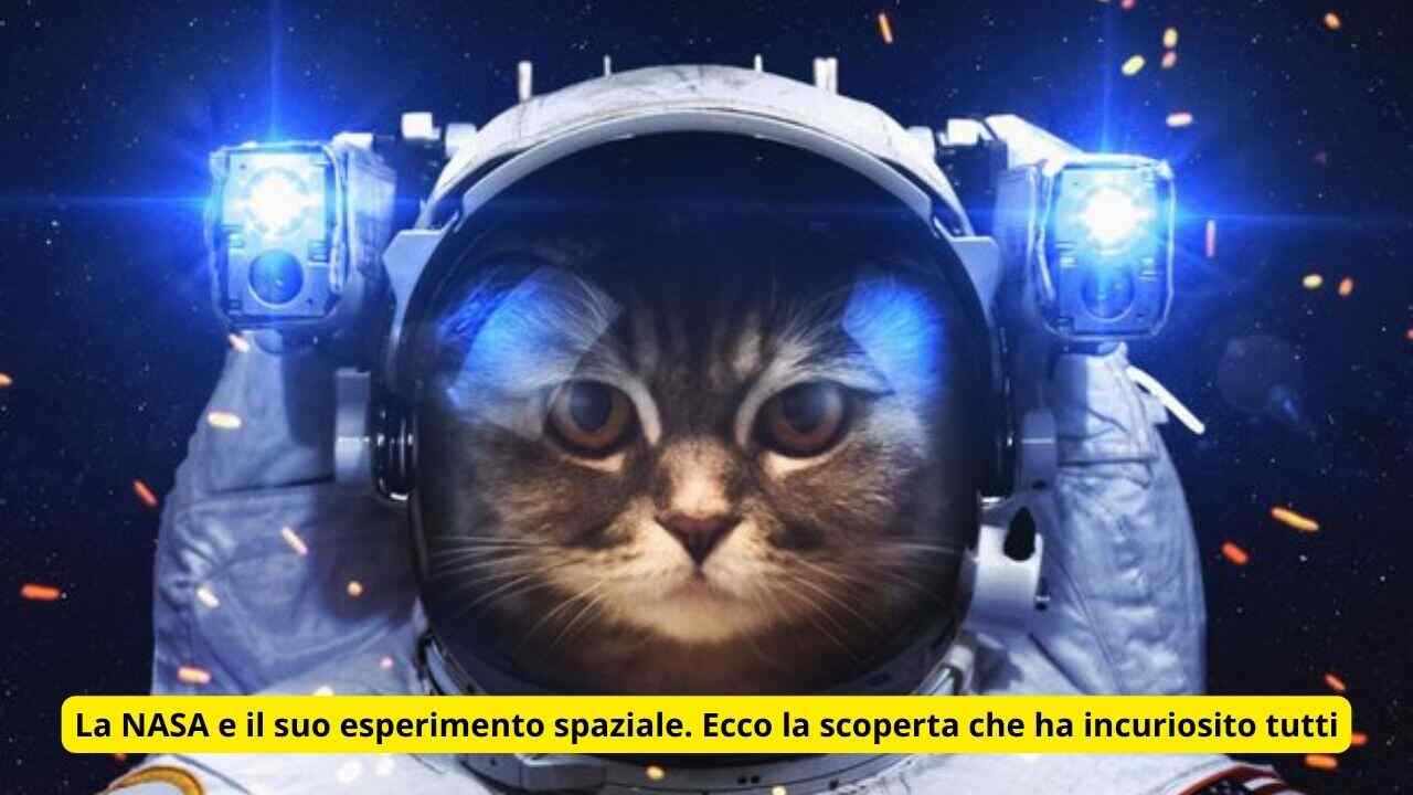 La NASA e il suo esperimento 